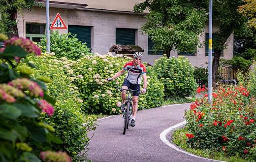 Cyclist on the road online