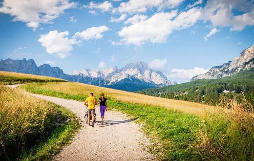 Family walking in the farm pathway landscape