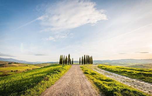 Landscape small pathways