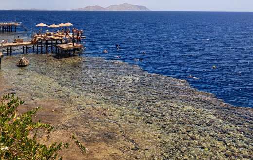 Swimming time somewhere Egypt