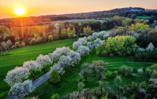Beautiful landscape with sunset