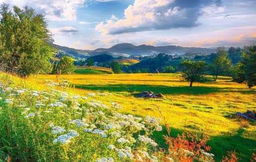 Beautiful nature landscape summer time