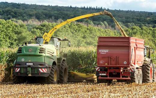 Corn harvest agriculture