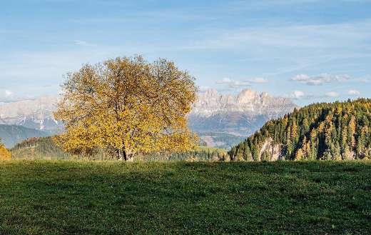 Meadow hill mountains