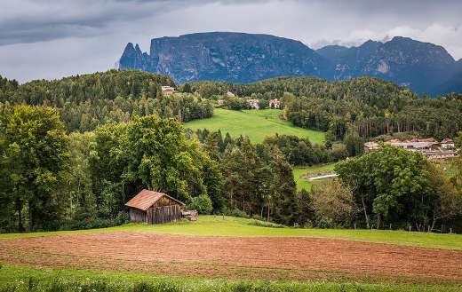 Mountains meadow hills forest