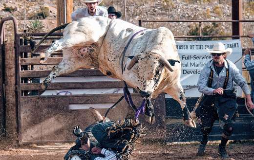 Rodeo western cowboy