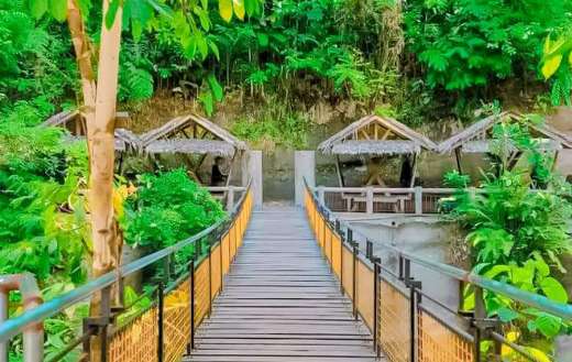 Hanging bridge nature