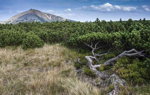 Karkonosze national park Poland