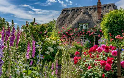 A english cottage with beautiful garden