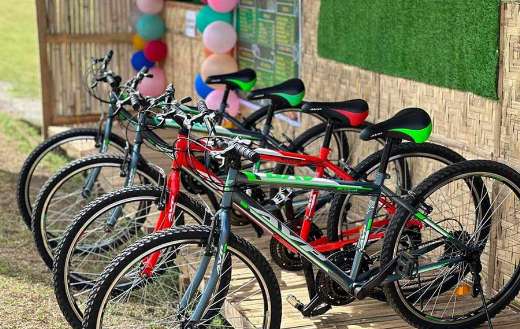 Bicycles for rent online