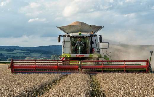 Combine harvester wheat field