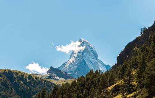 Pine hills nature mountains