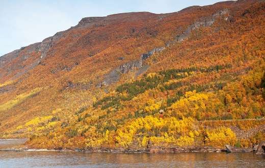 Autumn landscape Fjord