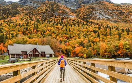 Autumn nature landscape and wooden bridge