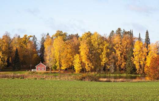 Autumn time landscape deciduous trees