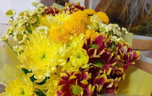 Chrysanthemums flowers and others