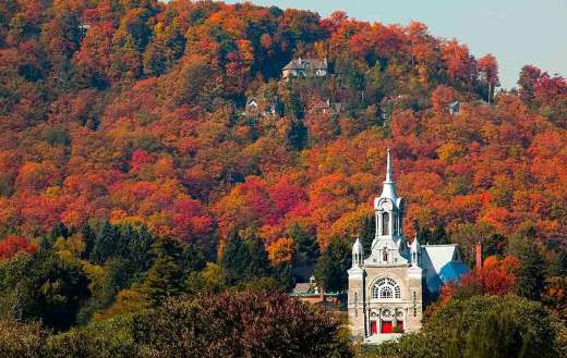 Colorful autumn landscape