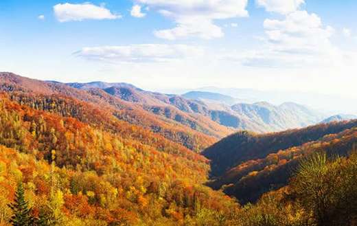 Colorful mountain autumn