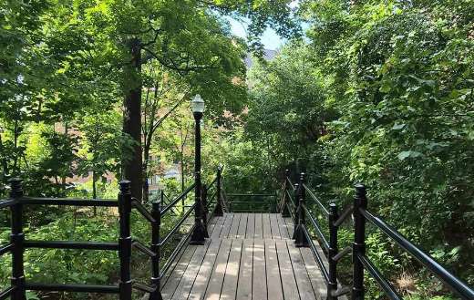 Grand escalier du mont royal Montreal Canada