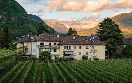 House building vineyard farm
