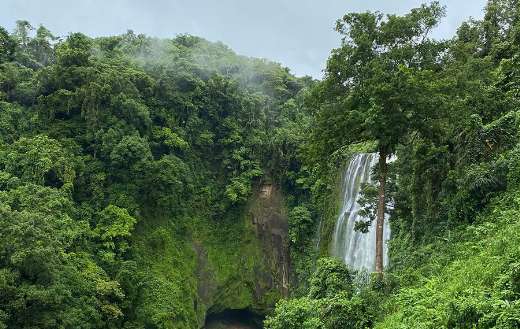 Beautiful green nature with waterfall