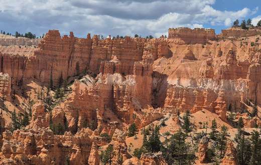 Bryce national park VI
