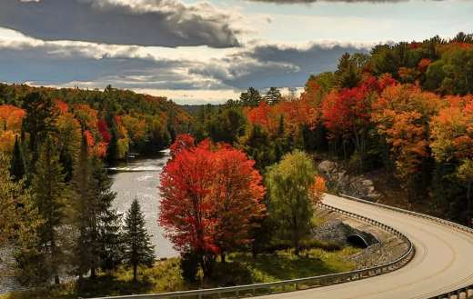 Highway road and autumn color trees