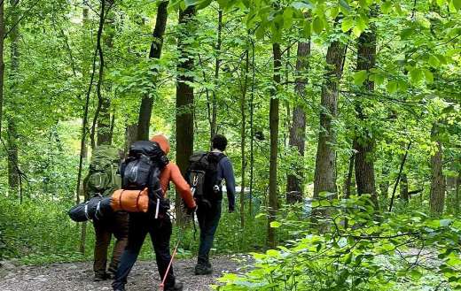 Hikers through nature