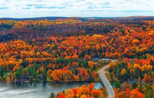 Landcape of colorful nature