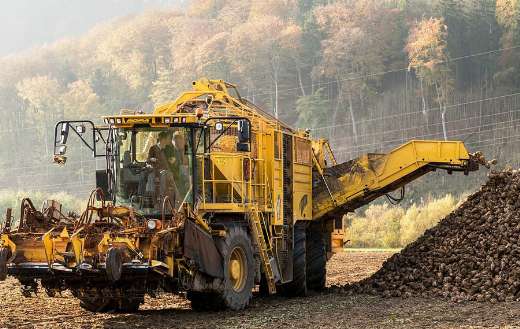 Sugar beet vehicle harvesting