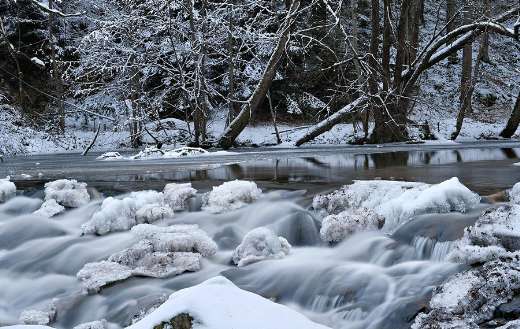 Bach stream frozen