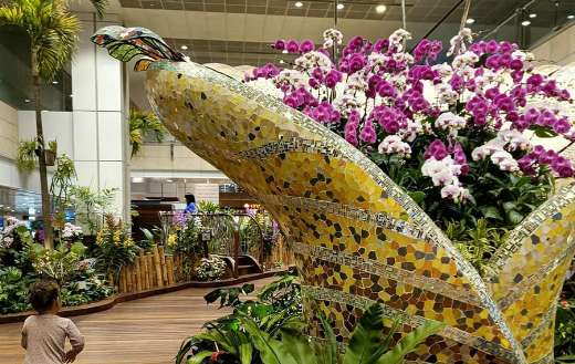 Enchanted orchid garden