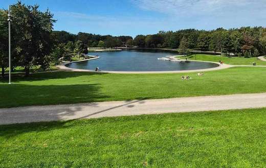 Landscape mont royal park