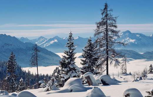 Mountain fog snow winter