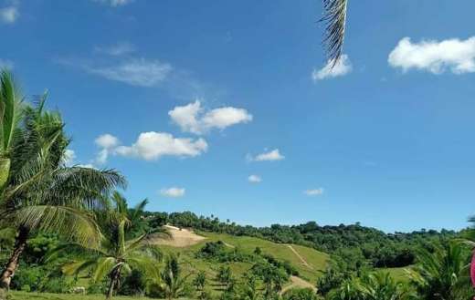 Nature landscape so green