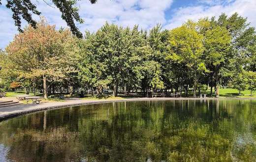 Nature view with pool