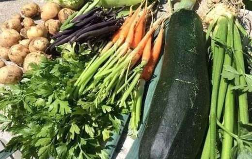 Rustic roots farm vegetables