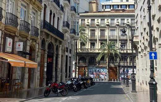 Sunlit street with palm trees