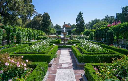 A neatly trimmed garden