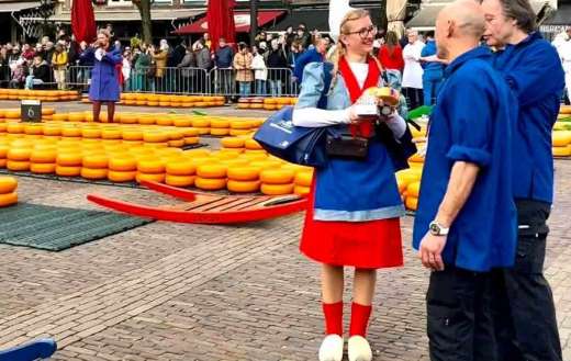Dutch cheese market Alkmaar