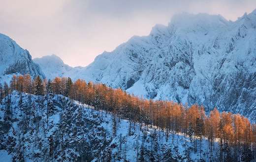 Mountain landscape become white