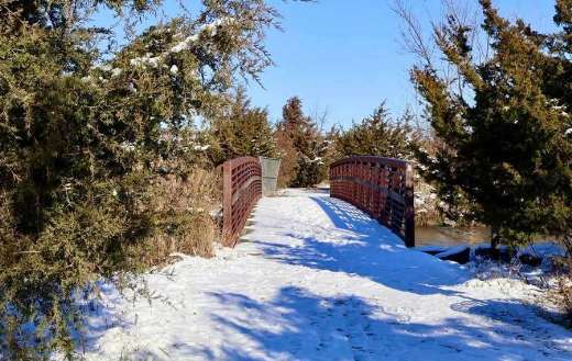 Snowy landscape in Ontario park