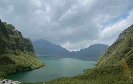 Chinese silver grass lake pinatubo Philippines