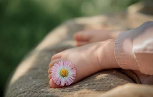 Daisy flower baby foot