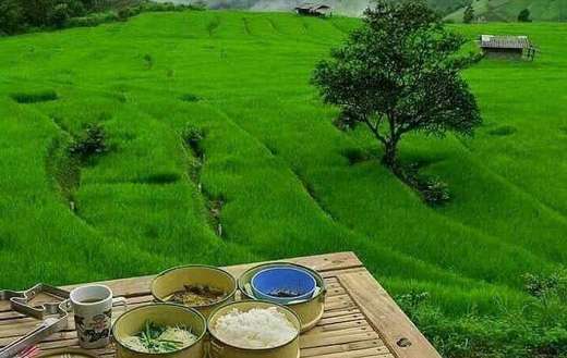 Food table beautiful scenery