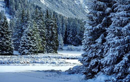 Nature landscape winter 1