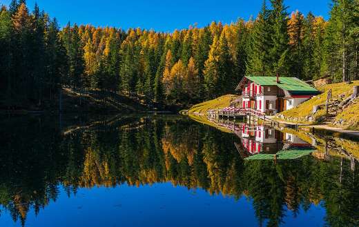 Wooden cabin by the nature area