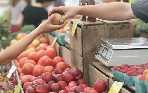Apple farmer business market