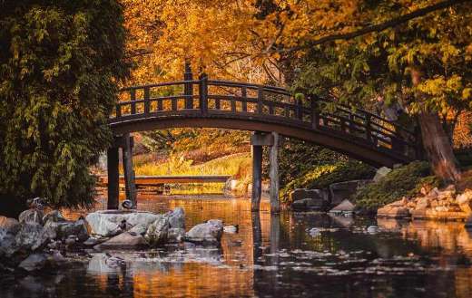 Arch bridge lake and nature