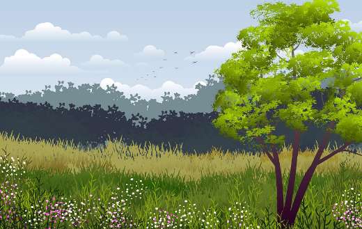 Background nature landscape art